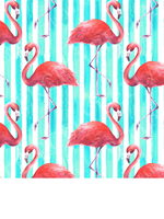 Flamingo & Stripe